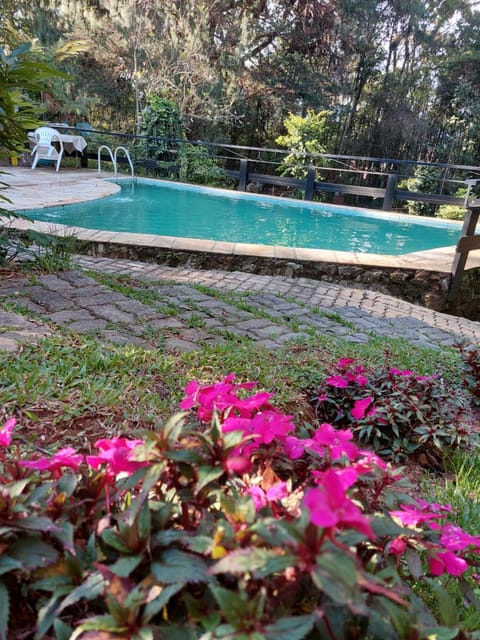 Garden, Pool view, Swimming pool