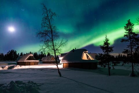 Property building, Facade/entrance, Night, Neighbourhood, Winter, View (from property/room), Time of day