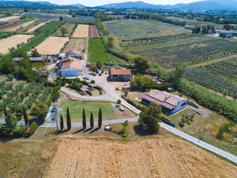 Activities, Bird's eye view, Garden, Table tennis, View (from property/room), Garden view