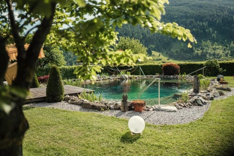 Garden, Swimming pool, Swimming pool