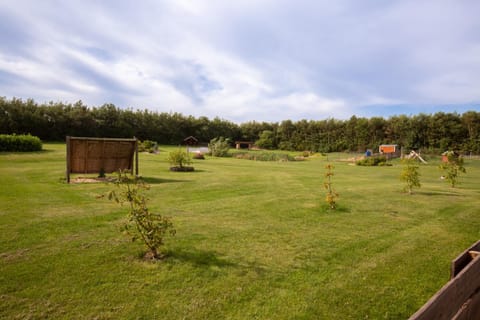 Garden, Garden view, Garden view