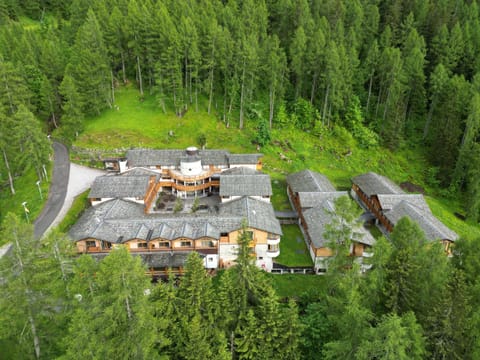 Neighbourhood, Natural landscape, Bird's eye view, Street view
