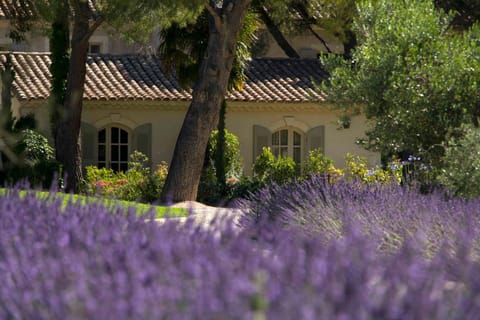 Benvengudo Hôtel in Les Baux-de-Provence