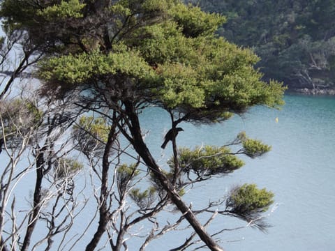 Natural landscape, Sea view