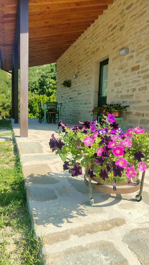 Agriturismo Foglie Farm Stay in Umbria