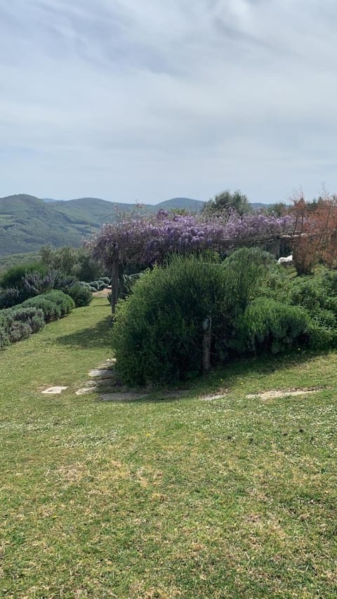 Natural landscape, Garden