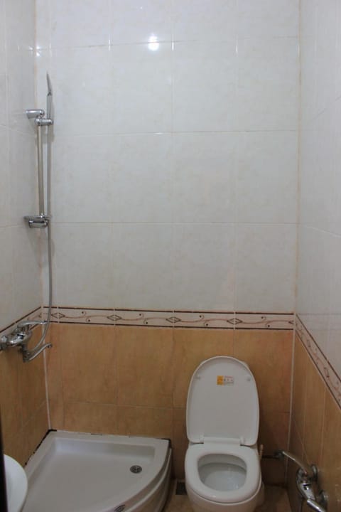 Shower, Toilet