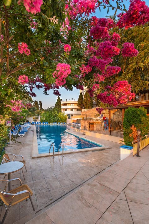 Pool view, Swimming pool, Swimming pool