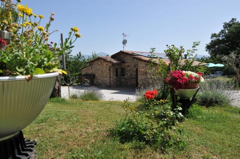 Property building, Spring, Day, Garden, Garden view