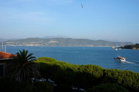 La Finestra sul Mare Condo in Porto Venere