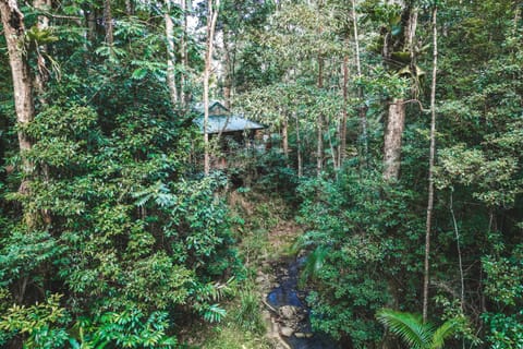 Natural landscape, Bird's eye view, View (from property/room), Mountain view