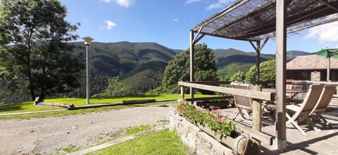 Natural landscape, Garden, Mountain view