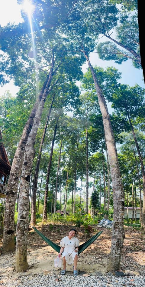 Forest Side Ecolodge Chambre d’hôte in Lâm Đồng