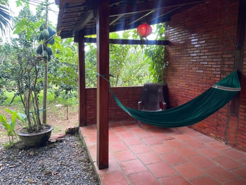 Patio, Day, Natural landscape, Garden, Garden view