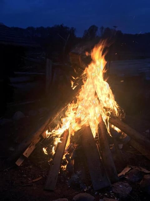 BBQ facilities, On site, Entertainment