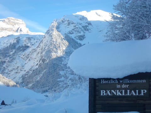 Nearby landmark, Staff, Day, Property logo or sign, Natural landscape, Winter, Skiing, Mountain view