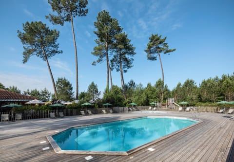 Garden, Garden view, Pool view, Swimming pool, sunbed