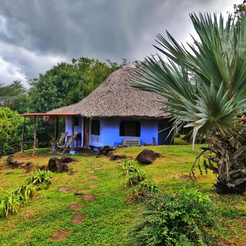 Finca del Sol Eco Lodge Albergue natural in Nicaragua
