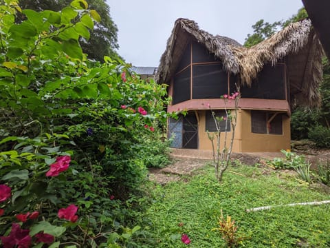 Finca del Sol Eco Lodge Natur-Lodge in Nicaragua