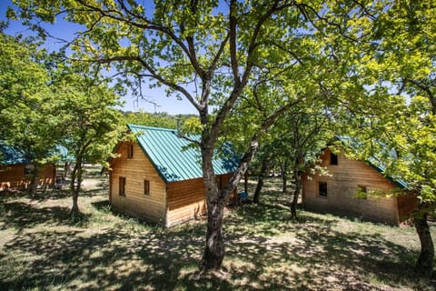 Natural landscape, Photo of the whole room