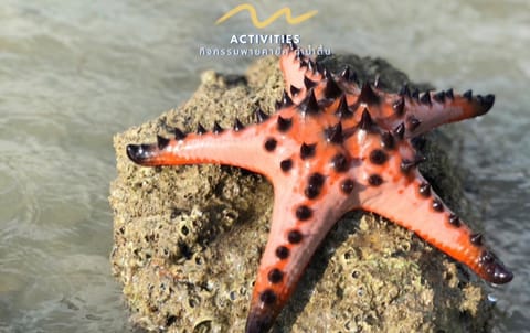 Rock View Terrace Bed and Breakfast in Krabi Changwat