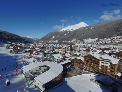 Bird's eye view, Winter, Mountain view