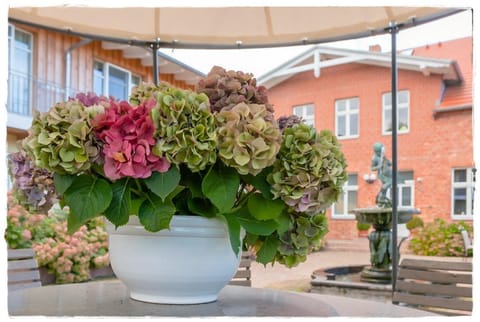 Property building, Patio, Garden, Balcony/Terrace