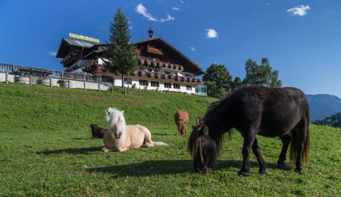 Property building, Horse-riding