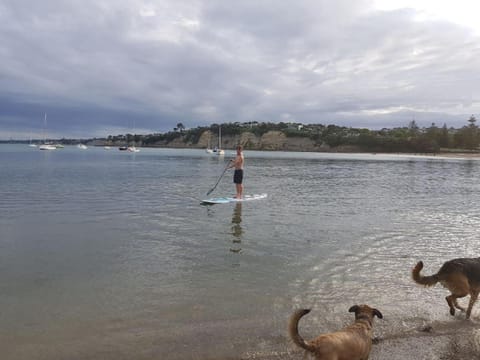 Close to beach Apartment in Auckland