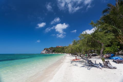 Natural landscape, Beach