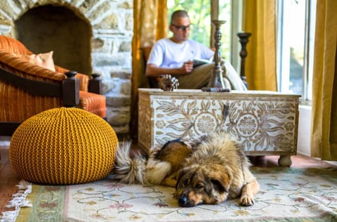 Happy Dervish, Nathuakhan, Mukteshwar Resort in Uttarakhand