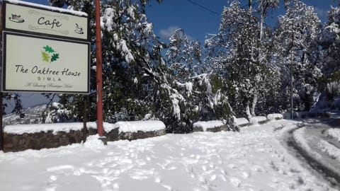 The Oaktree House Hotel in Shimla