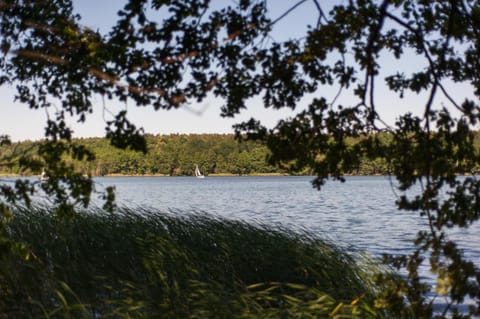 Natural landscape, Hiking, Lake view