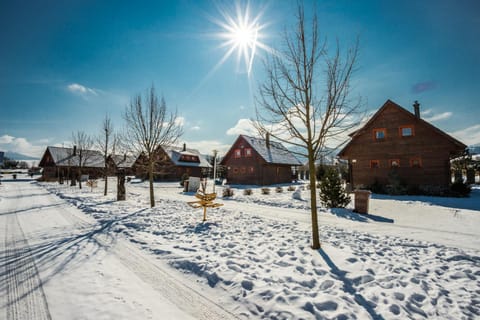 Property building, Winter, Garden