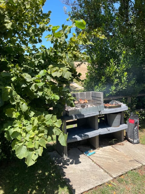 BBQ facilities, Garden