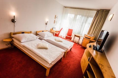 Bed, Bathroom, TV and multimedia, Photo of the whole room, Decorative detail