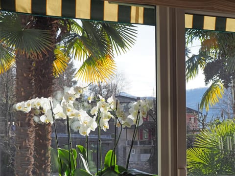 Ristorante Charme Hotel Tre Terre Bed and breakfast in Locarno