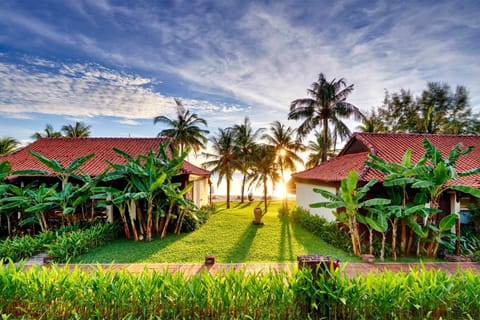 Beach, Garden view, Sea view