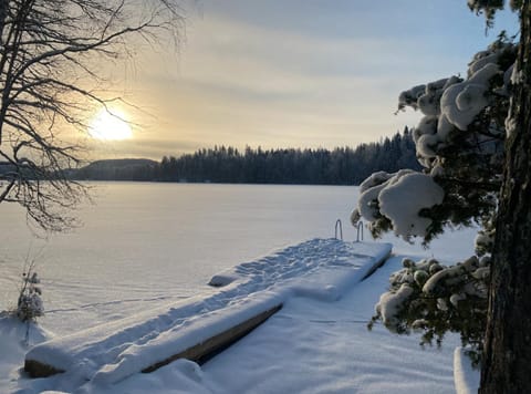 Winter, Lake view