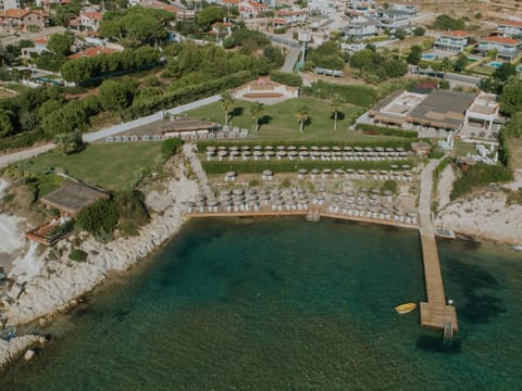 Bird's eye view, Beach