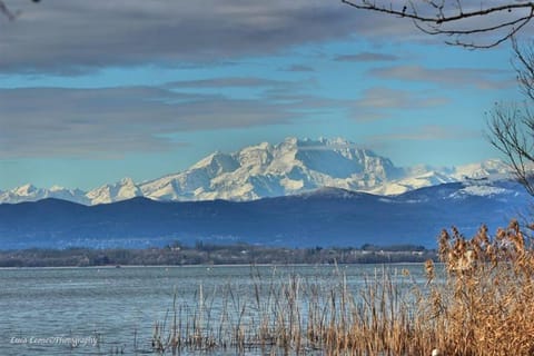 Aurelia Apartment in Varese