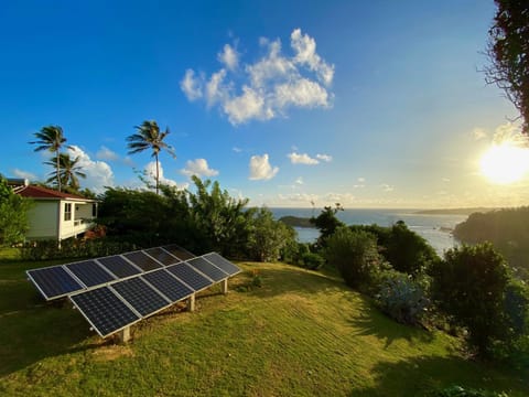 Sea Cliff Eco-Cottages & Gin Distillery House in Dominica