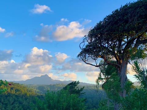 Natural landscape, Mountain view