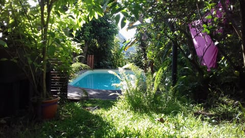 Garden, Swimming pool