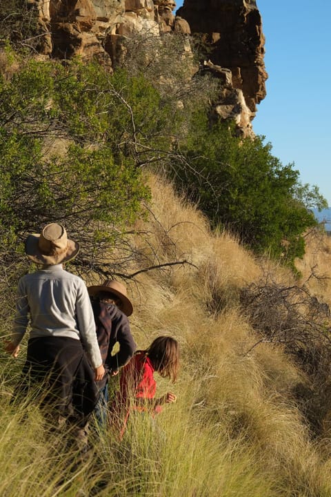 Hiking