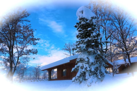 Property building, Natural landscape, Winter
