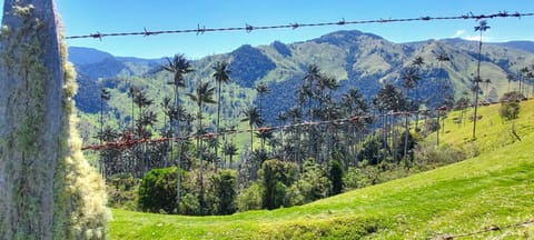 Nearby landmark, Natural landscape