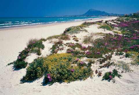 Natural landscape, Beach