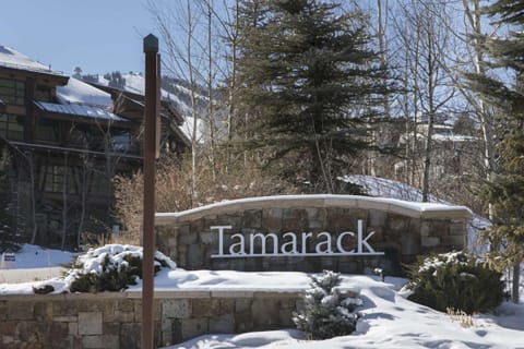 Tamarack Townhome # 29 Maison in Snowmass Village