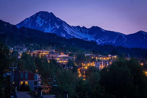 Tamarack Townhome # 29 House in Snowmass Village